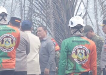 Prabowo Tinjau Karhutla di Kubu Raya, Penanganan Gambut Diperkuat