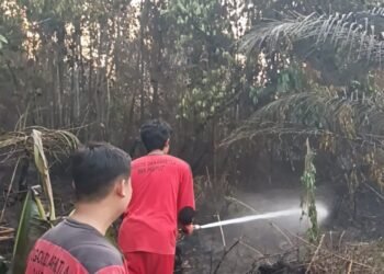 UPT KPH Sintang Timur Gerak Cepat Padamkan Karhutla di Desa Tertung