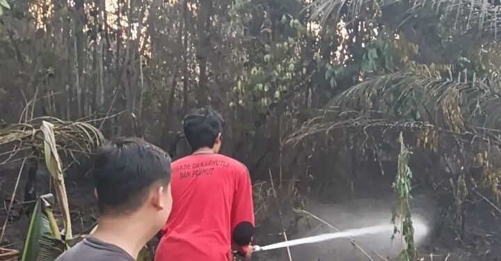 UPT KPH Sintang Timur Gerak Cepat Padamkan Karhutla di Desa Tertung