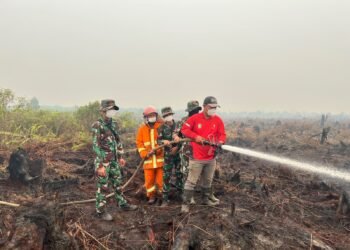 Danrem 121/ABW dan Forkopimda Tinjau Penanganan Karhutla di Mempawah
