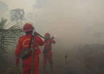 Hotspot Karhutla Kembali Naik, Kalbar dan Kalteng Jadi Perhatian Utama Pemerintah
