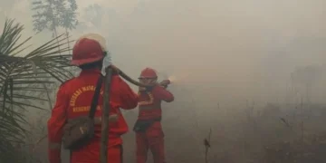 Hotspot Karhutla Kembali Naik, Kalbar dan Kalteng Jadi Perhatian Utama Pemerintah