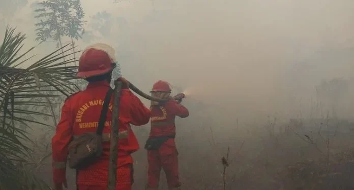 Hotspot Karhutla Kembali Naik, Kalbar dan Kalteng Jadi Perhatian Utama Pemerintah